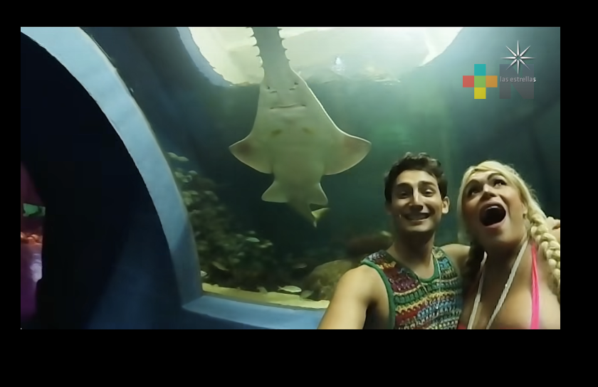 Wendy Guevara y Emilio Osorio visitan el Aquarium de Veracruz